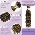 Human Braiding Hair 2 Bundles Total 100g 18 Inch Deep Wave P4/27 Brazilian Virgin Human Hair Weft for Boho Braids
