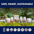 Host Defense Mushrooms Lion's Mane Extract - Lion's Mane Liquid Supplement for Brain Health - Mushroom Support for Focus & Memory Function - Immune & Nervous System Support - 2 fl oz (60 Servings)*