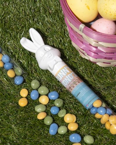 Vegan, Gluten Free Bunnies (2 Pack) Chocolate Candy Filled Easter Tubes | Dairy Free Chocolate Easter | Milk, Nut, Soy and Sesame Free by No Whey Foods