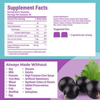 Hyland's Organic Elderberry Plus Gummies, Organic Black Elderberry with ZINC and Vitamin C, Immune Support Supplement for Adults, 60 Vegan Gummies (30 Days)