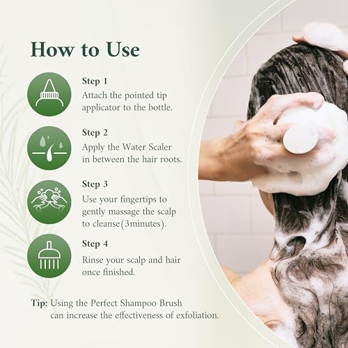 Tea Tree Scalp Water Scaler | Scalp Exfoliator for Itchy Dry Flaky Scalp, Buildup Remover, Treatment for Excess Sebum Oily Greasy Hair | Korean Hair Care Products, Refill 16.9 fl oz
