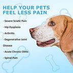 Portable Red Light Therapy for Dogs, Handheld Cold Laser Therapy Vet Device & Infrared Light Therapy for Pet, Muscle & Joint Pain Relief from Dog Arthritis