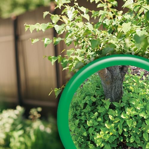 Bonide Sucker Punch, 16 oz Ready-to-Use Spray, Control Unwanted Plant Sprouts, Plant Growth Regulator for Home Garden