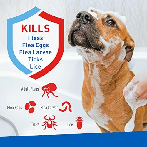 Plus Flea & Tick Foaming Shampoo & Wash for Dogs & Puppies Over 12 Weeks | Sensitive Skin Flea Treatment for Dogs and Puppies | Kills Adult Fleas, Ticks, and Lice On Contact | 10 Oz