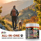 Dog Allergy Relief Chews | Itchy Skin Relief for Dogs | Colostrum Astralagus Omega 3 Bee Pollen Bromelain Echinacea Nettle Leaf Quercetin Licorice Root Spirulina ACV Immune - Pack of 1