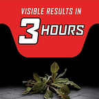 Ortho GroundClear Year Long Vegetation Killer1 Concentrate, Kills Weeds and Grasses, Prevents Unwanted Weeds and Grasses for up to 1 Year, 2 gal.