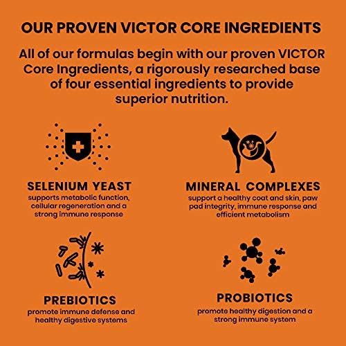 Victor Super Premium Dog Food – Classic Crunchy Dog Treats with Turkey Meal – Gluten-Free Treats for Small, Medium and Large Breed Dogs, 28oz
