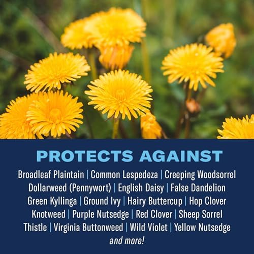BioAdvanced 3-In-1 Weed and Feed for Southern Lawns, Granules, 25 lb, 10,000 Sq Ft