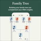 AncestryDNA Genetic Test Kit + 3-Month Ancestry World Explorer Membership: Personalized Genetic Results, DNA Ethnicity Test, Family History, Complete DNA Test, 3600+ Regions and Journeys
