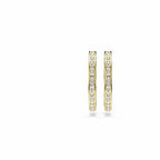 Swarovski Sommerset hoop earrings, Small, White, Gold-tone finish