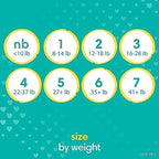 Pampers Disposable Diapers Size 5, Swaddlers 132 Count + Overnight (50 Count)