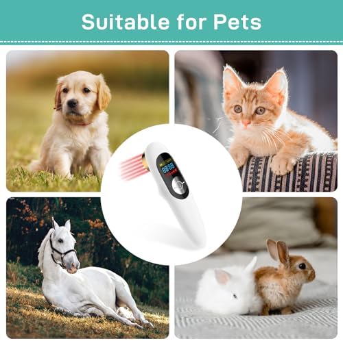 Red Light Therapy for Dogs - 12x 650 nm & 1 x808nm Infrared Red Light Therapy Vet Device, Portable Therapy Device for Pain Relief Arthritis, Spinal, Promote Blood Circulation