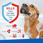 Plus Flea & Tick Shampoo with Precor for Cats, Kittens, Dogs & Puppies Over 12 Weeks Of Age |Sensitive Skin Flea Treatment for Dogs & Cats |Kills Adult Fleas, Flea Eggs, Ticks, and Lice |6 Oz