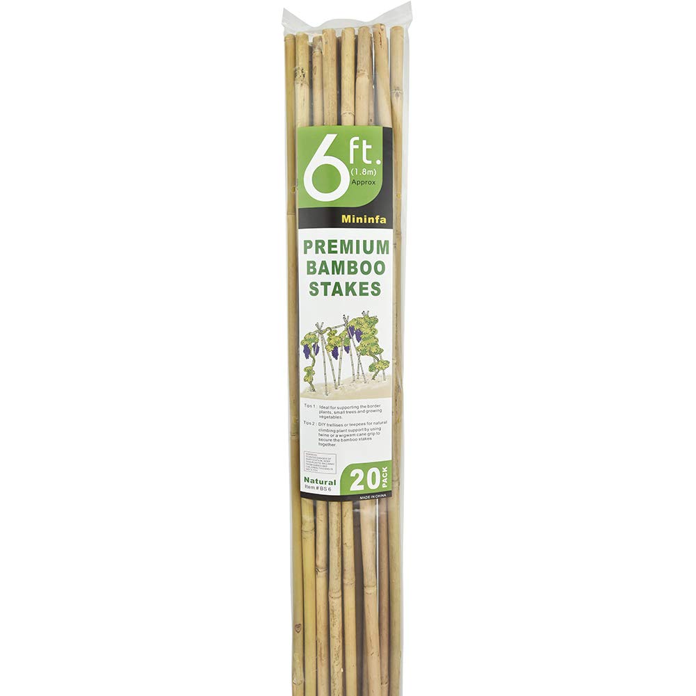 Mininfa Natural Bamboo Stakes 6 Feet, Eco-Friendly Garden Stakes, Plant Stakes Supports Climbing for Tomatoes, Trees, Beans, 20 Pack