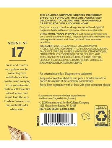 Caldrea Hand Soap Refill, Aloe Vera Gel, Olive Oil and Essential Oils to Cleanse and Condition, Sea Salt Neroli Scent, 32 oz