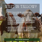 Lip Balm with Beef Tallow, Natural Essential Oils, Unscented, Organic (Spearmint)