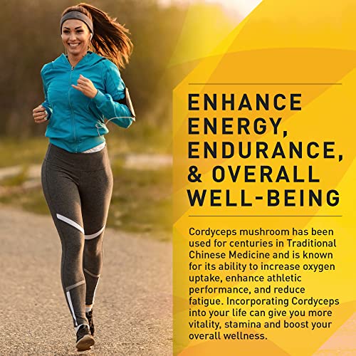 Enerhealth Botanicals NutriCafé Pure Cordyceps – Fairly Traded, Low Acid, Medium Roast Whole Arabica Bean Coffee, Infused with Organic Mushroom Extracts to Increase Vitality, Stamina, & Energy – 12 oz