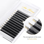 W Eyelash Extensions D Curl 0.07mm 8-15mm Mix Tray W Shaped 8D Volume Premade Fan Lashes Matte Black Cluster Easy Fans Lashes Professional Use YY Lash