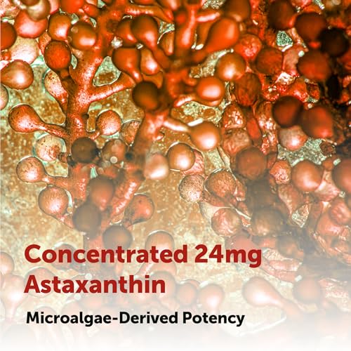 Micro Ingredients Astaxanthin 24mg with MCT Oil, 60 Softgels, 2 Month Supply | Max Strength Astaxanthin Antioxidant Supplements | Fresh Microalgae Source | Non-GMO, Gluten Free, No Soy