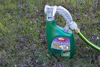 Ortho Weed B Gon Chickweed, Clover & Oxalis Killer for Lawns, 32 Oz. (Pack of 2)