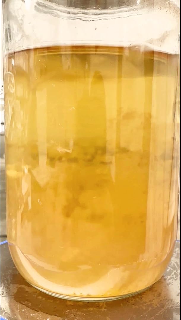 Premium 28oz Liquid Culture Kit XL | Easy Spore Germinating & Mushroom Cloning System