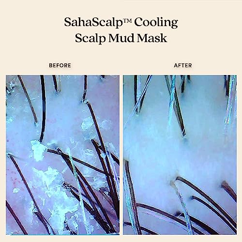 Fable & Mane Cooling Scalp Mud Mask, Soothes Itchiness and irritation. Treatment to Purify the Scalp with Ayurvedic Neem (6 fl oz / 177ml)