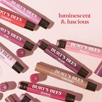 Burt's Bees Lip Shimmer, Raisin, Tinted Lip Balm Stick, Moisturizing for All Day Hydration with Natural Glowy Pigmented Finish & Buildable Color, 1 Count, 0.09 Oz