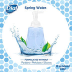 Dial Complete Anti-bacterial Foaming Hand Wash, 60 oz of Foaming Hand Soap. 2-scent Variety Pack Spring Water/Pear, 15 Fluid Ounces each (4 pack)