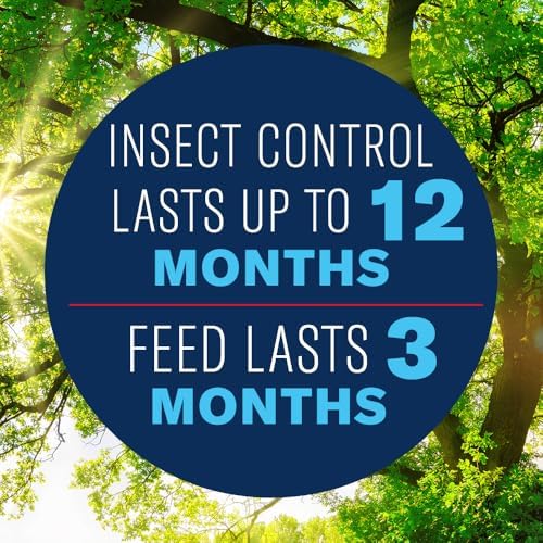 BioAdvanced 12 Month Tree Protect & Feed Concentrate II, 32 OZ