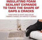 Tomcat Rodent Block Expanding Foam Barrier, Fills Gaps to Keep Mice From Entering the Home, 12 oz.