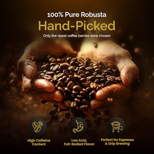 Birdee Vietnamese Coffee – 1 LB, Medium Roast Whole Bean, 100% Robusta, Low Acid, High Caffeine, Single-Origin, Fine Robusta Standard, Hand-picked