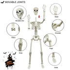 2 Pack 36in Posable Plastic Skeleton Halloween Decor - 3 ft Halloween Decor