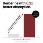 The Absorption Company Berberine Supplement, 60 Capsules, Enhanced Absorption Formula, FenuMat & Capsoil Technology, Third-Party Tested
