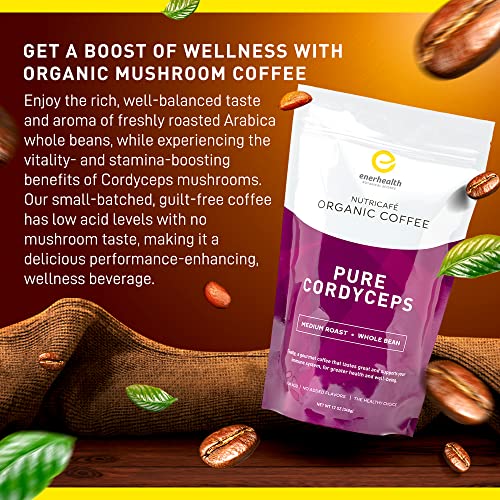 Enerhealth Botanicals NutriCafé Pure Cordyceps – Fairly Traded, Low Acid, Medium Roast Whole Arabica Bean Coffee, Infused with Organic Mushroom Extracts to Increase Vitality, Stamina, & Energy – 12 oz