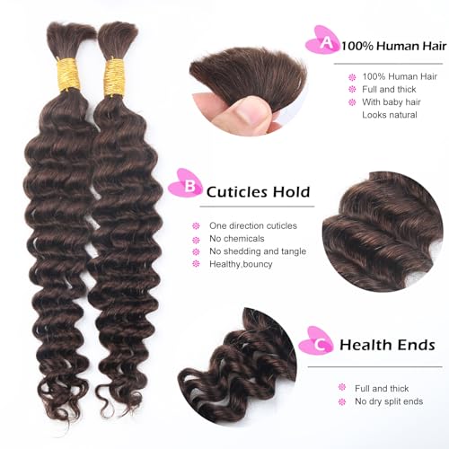 Human Braiding Hair for Boho Braids Deep Water Wave Curly Bulk Human Hair for Braiding Brazilian Virgin Human Hair for Micro Braiding Wet and Wavy Human Braiding Hair 100g 20inch Chocolate Brown