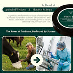 MOO FARM Beef Tallow for Skin - Natural Hydrating Balm -Low Heat Grass-Fed Organic Beef Tallow for Skin, Unscented- Safe for Sensitive, Allergic Body- Rich Vitamins A,D,E,K & B1 - Made in USA(2oz)