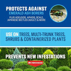 BioAdvanced 701525A 12-Month Shrub Control Insect Killer and Tree Fertilizer, 1-Gallon, Landscape Formula Concentrate