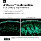 Signature ESTUD Protector - Niacinamide Face Serum (2%), 5.75 fl oz, Pore Minimizer Serum for Face, Even Skin Tone, Korean Skin care Glass Skin, Centella Asiatica Face ampoule