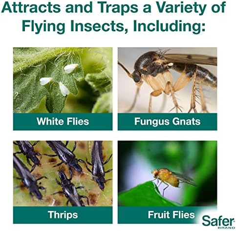 Safer Brand 5026 Houseplant Sticky Stake Insect Traps for Indoor Plants - Controls Fungus Gnats, Whiteflies, Midges, Thrips, Fruit Flies, and Black Flies - 12 Pack, 84 Traps