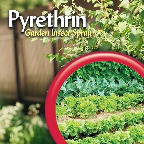 Bonide Pyrethrin Garden Insect Spray Concentrate, 8 oz Ready-to-Mix Fast Acting Insecticide for Outdoor Garden Use