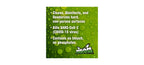 Mean Green Anti-Bacterial Multi-Surface Cleaner Lemon Scented, clear, 32 Fl Oz (Pack of 1), 40002