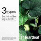 Mediheal Dermaplus Heartleaf Mask (10 Counts) - Daily Vegan Mask for Soothing Skin with Panthenol & Hyaluron, Korean Self Skin Care Sheet Mask