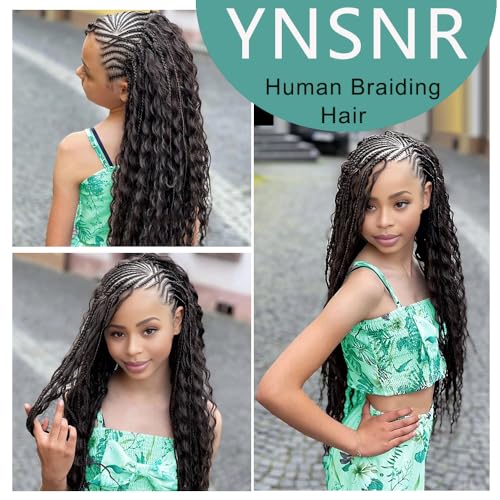 Human Hair Braiding Hair 14 Inch Deep Wave Bulk Human Hair for Braiding 10A Brazilian Curly Human Hair Extensions for Boho Braids Wet and Wavy Color 27# Honey Blonde Human Braiding Hair 2 Bundle 100g