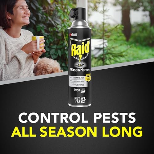 Raid Wasp and Hornet Killer (17.5 Ounce (Pack of 1))