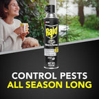 Raid Wasp and Hornet Killer (17.5 Ounce (Pack of 1))