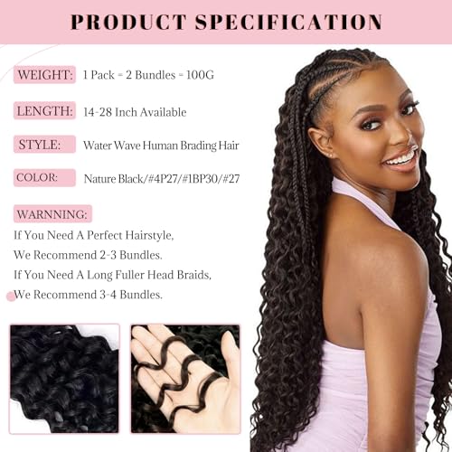 Human Braiding Hair Deep Water Wave Bulk 100g 2 Bundles 26 Inch 100% Brazilian Virgin Curly Extensions for Boho Braids Natural Black Wet and Wavy Braiding Boho Human Hair