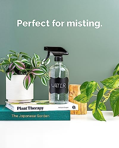 Vine Creations Glass Spray Bottles, 2 Pack Glass Spray Bottles for Cleaning Solutions, Plant Misters for Inside, Clear Glass Spray Bottle for hair, 16 oz Mister Spray Bottle with Waterproof Labels