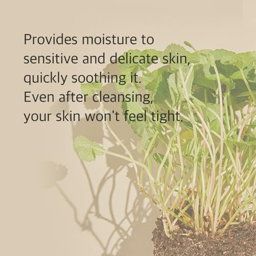 mixsoon Centella Cleansing Foam 5.07 fl oz/ 150ml,Low pH cleansing foam for soothing and moisturization