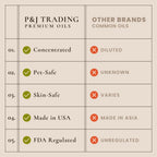 P&J Fragrance Oil Holiday Set for Christmas Home Decor | Mistletoe, Candy Cane, Wintermint, Apple Cider, Cranberry, and Forest Pine Candle Scents for Candle Making, Soap Making, Diffuser Oil Scent