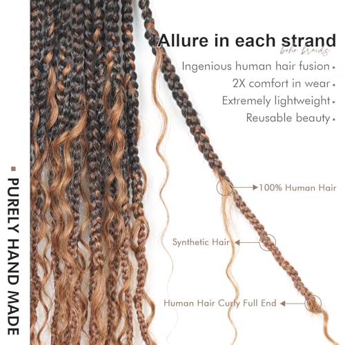 Toyotress Boho Box Braids With Human Hair Curls - 20 Inch 2 Packs (24 Strands) Handmade Pre-Looped Crochet Human Hair Boho Box Braids, Ombre Brown CrochetBraids Braiding Hair (20 Inch, T30-2P)